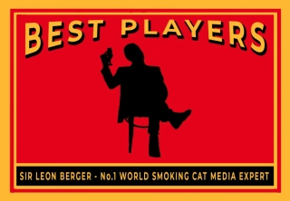 Zápalky s motivem Smoking Cat - 05